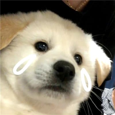 LodiKuns avatar